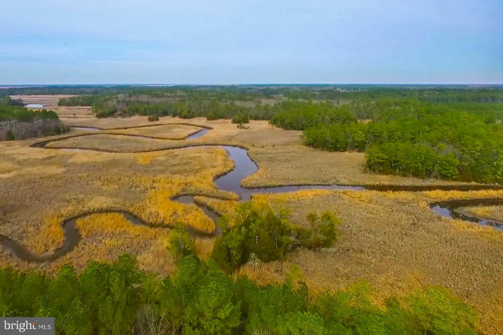 21774 Nanticoke Road Tyaskin, MD 21865 - Photo 95 of 100