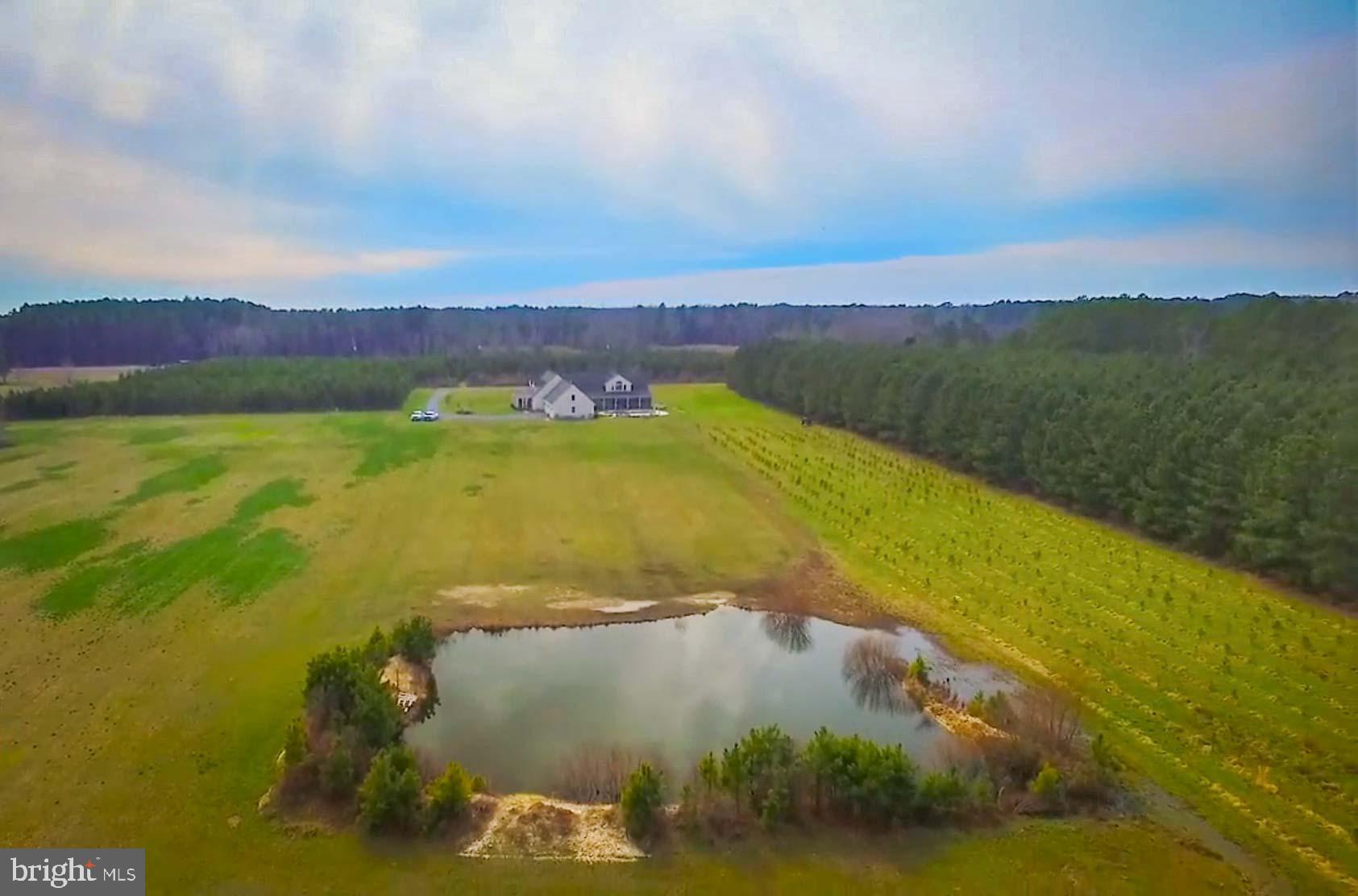 21774 Nanticoke Road Tyaskin, MD 21865 - Photo 96 of 100