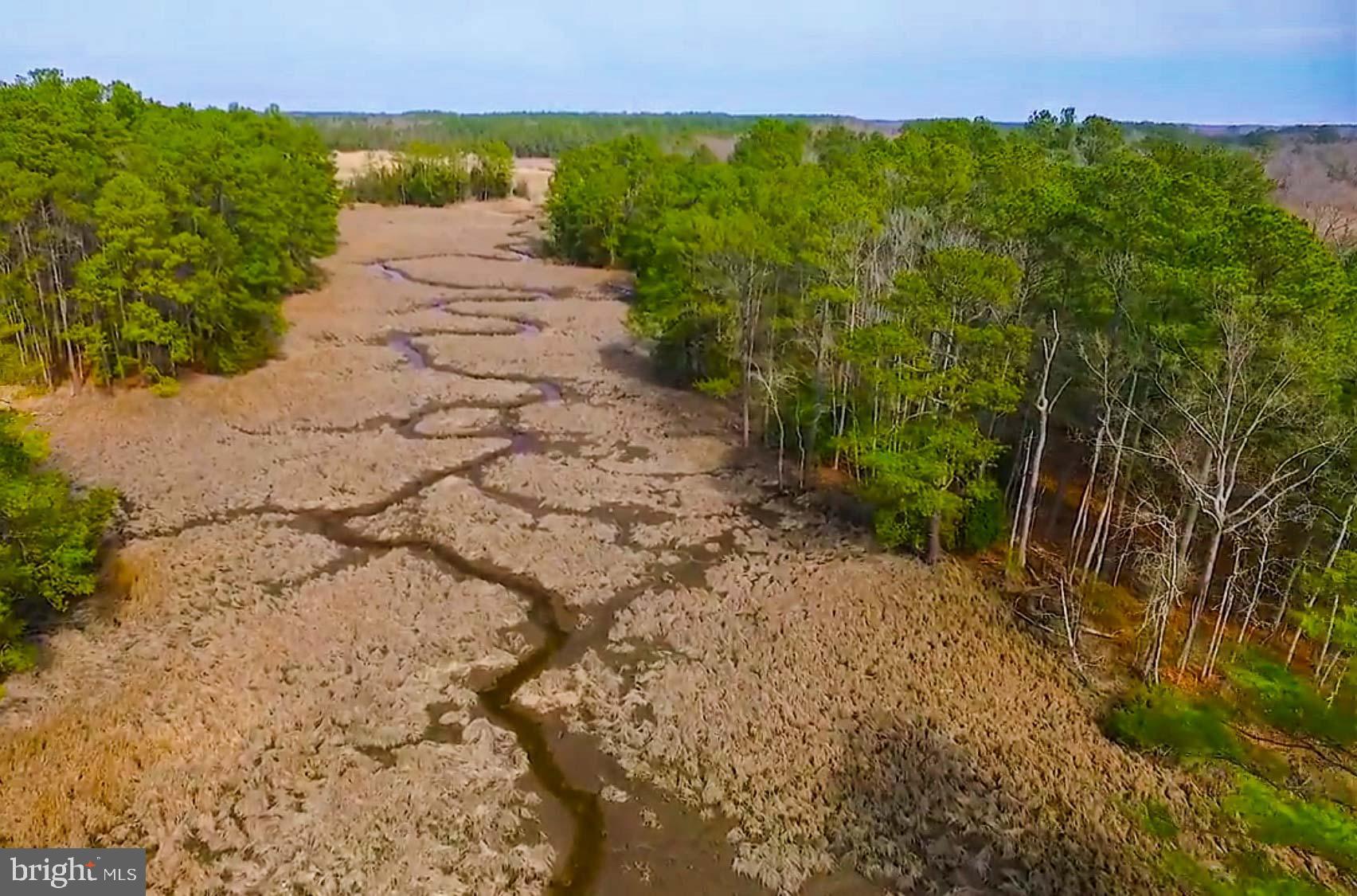 21774 Nanticoke Road Tyaskin, MD 21865 - Photo 100 of 100
