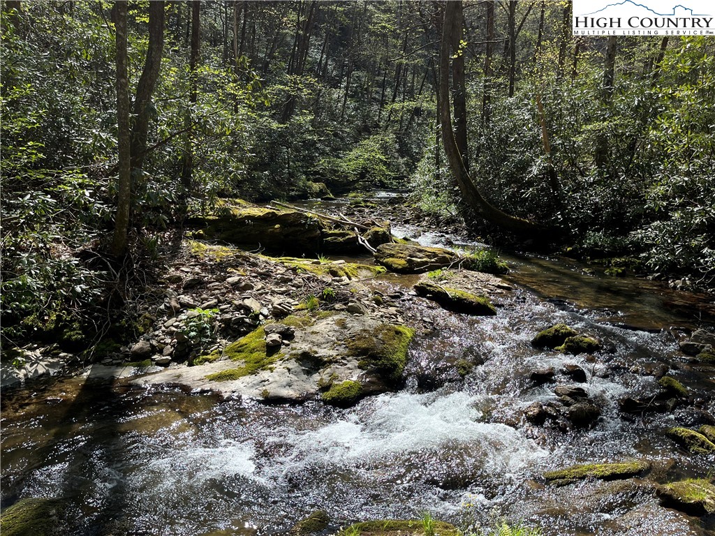 0 Maple Gap Road Boone, NC 28645 - Photo 21 of 35 Gallery Image 21