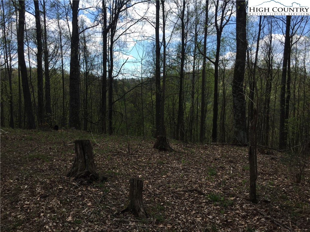 0 Maple Gap Road Boone, NC 28645 - Photo 23 of 35 Gallery Image 23