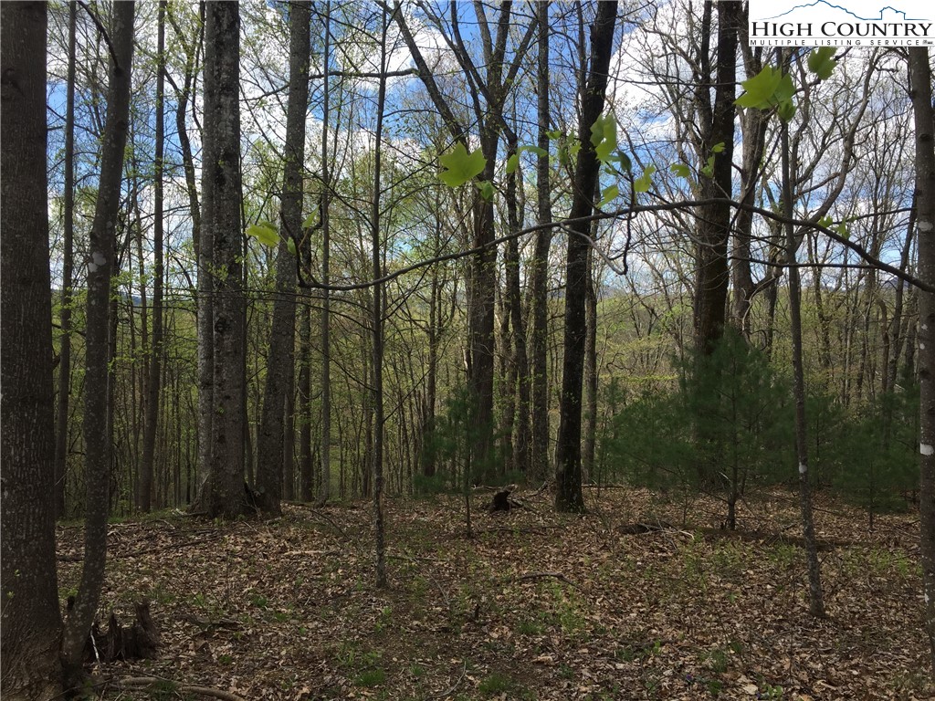 0 Maple Gap Road Boone, NC 28645 - Photo 26 of 35 Gallery Image 26