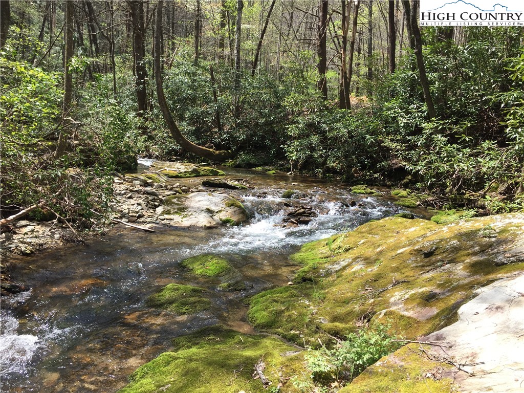 0 Maple Gap Road Boone, NC 28645 - Photo 29 of 35 Gallery Image 29