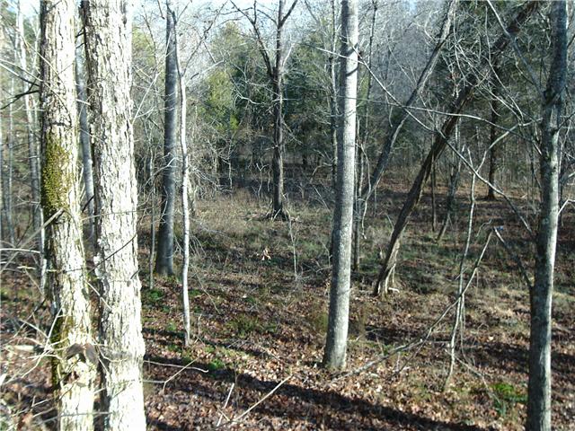 0 Farmers Exchange Road Centerville, TN 37033 - Photo 1 of 3 Young timber tract