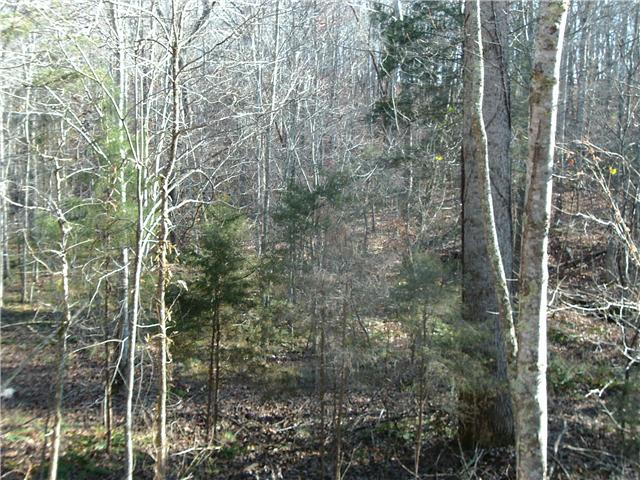 0 Farmers Exchange Road Centerville, TN 37033 - Photo 2 of 3 Hunting land