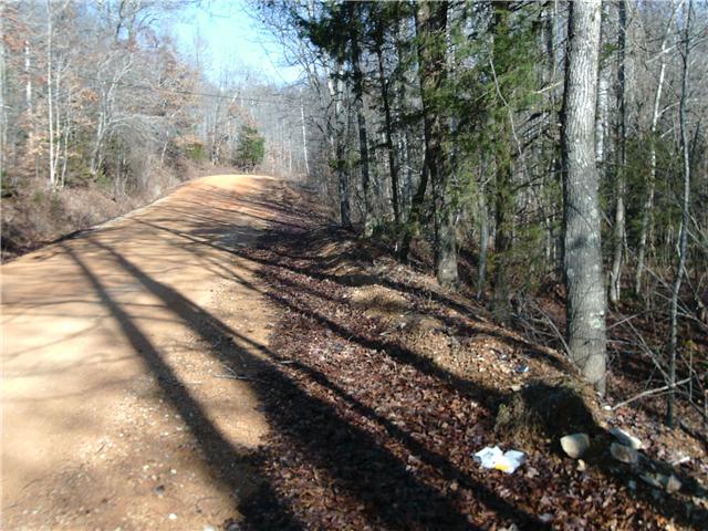 0 Farmers Exchange Road Centerville, TN 37033 - Photo 3 of 3 Long road frontage 1540 feet
