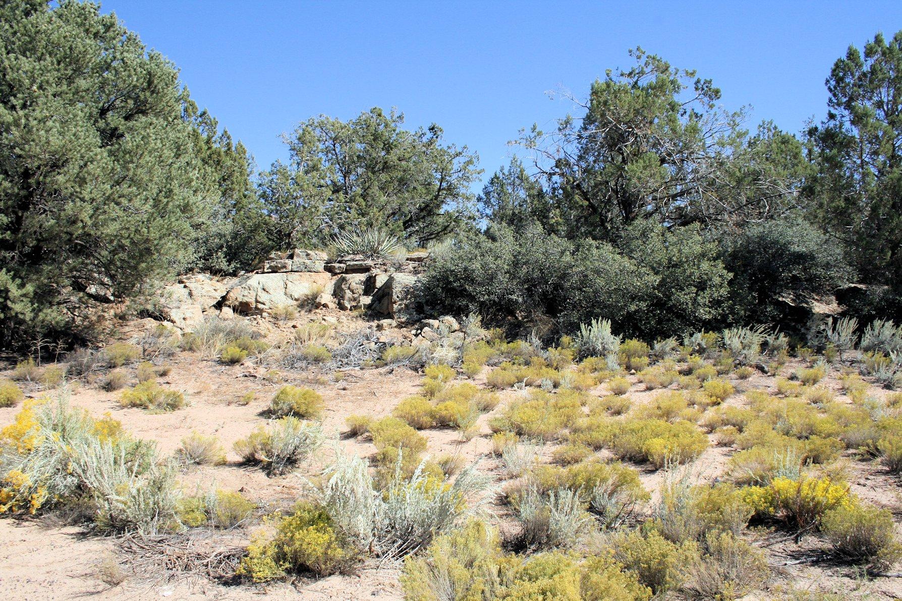 42.58 Little Creek Mesa Road Hurricane, UT 84737 - Photo 1 of 1 01