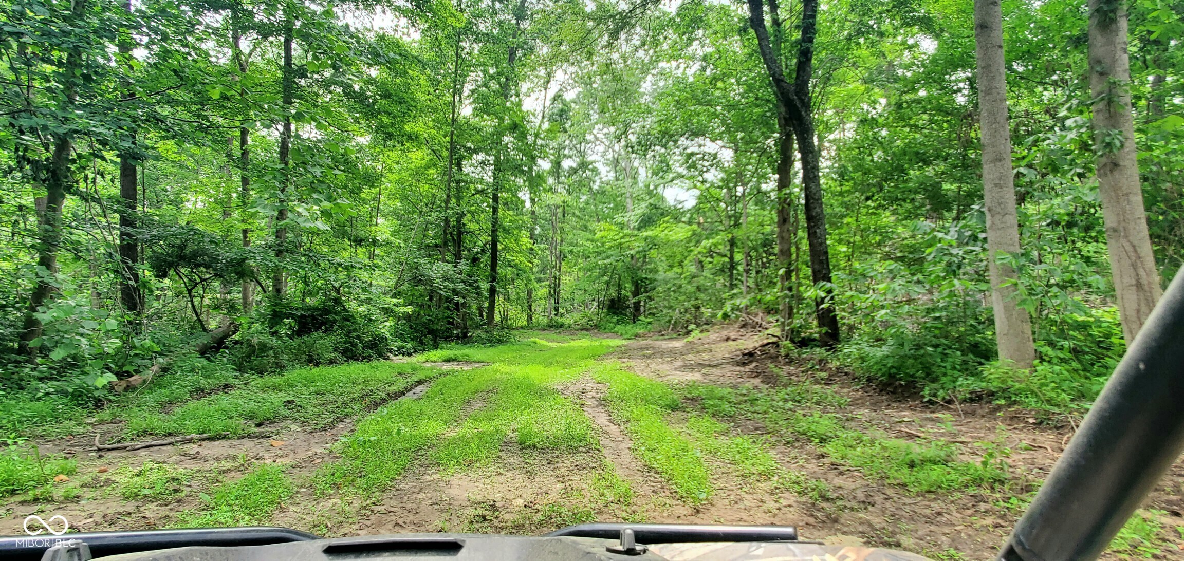 0 Jones Road Spencer, IN 47460 - Photo 17 of 43