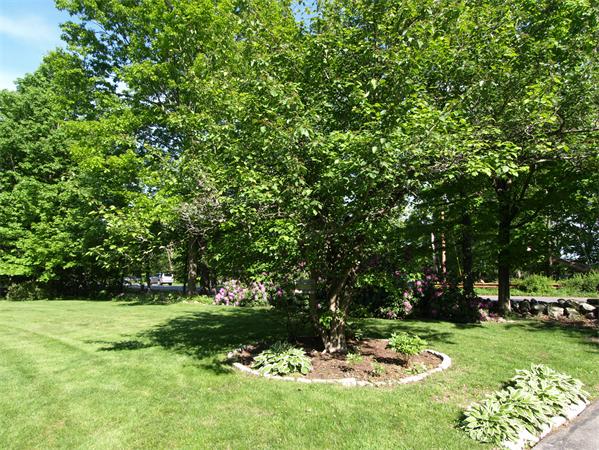 233 Wattaquadock Hill Road Bolton, MA 01740 - Photo 16 of 17 Gallery Image 16