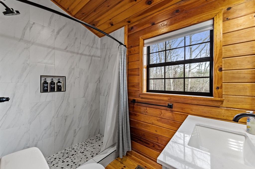 403 Sugar Mountain Road Blue Ridge, GA 30513 - Photo 29 of 84 a bathroom with a toilet and shower