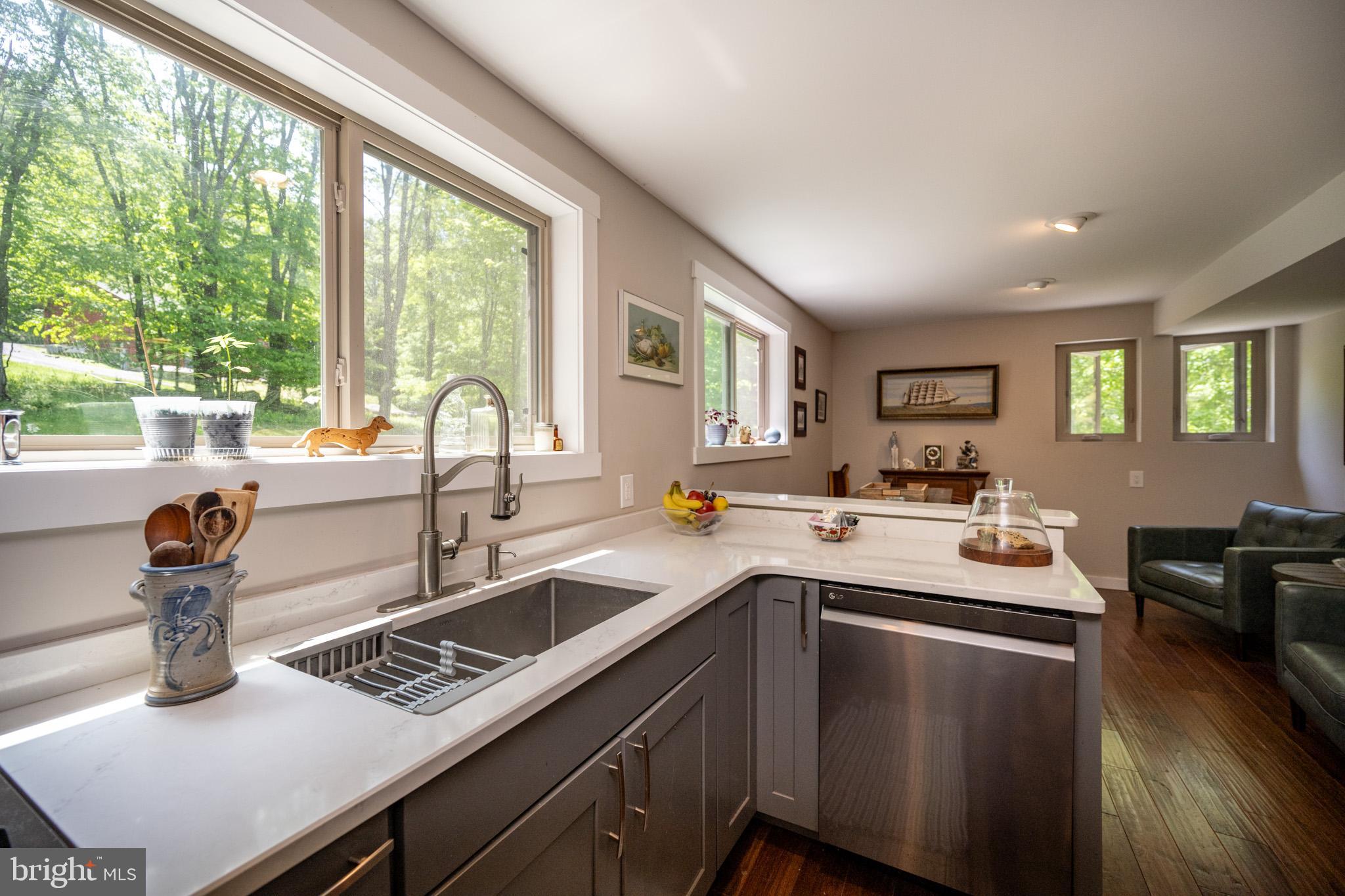 2250 Hoyes Run Road McHenry, MD 21541 - Photo 21 of 93