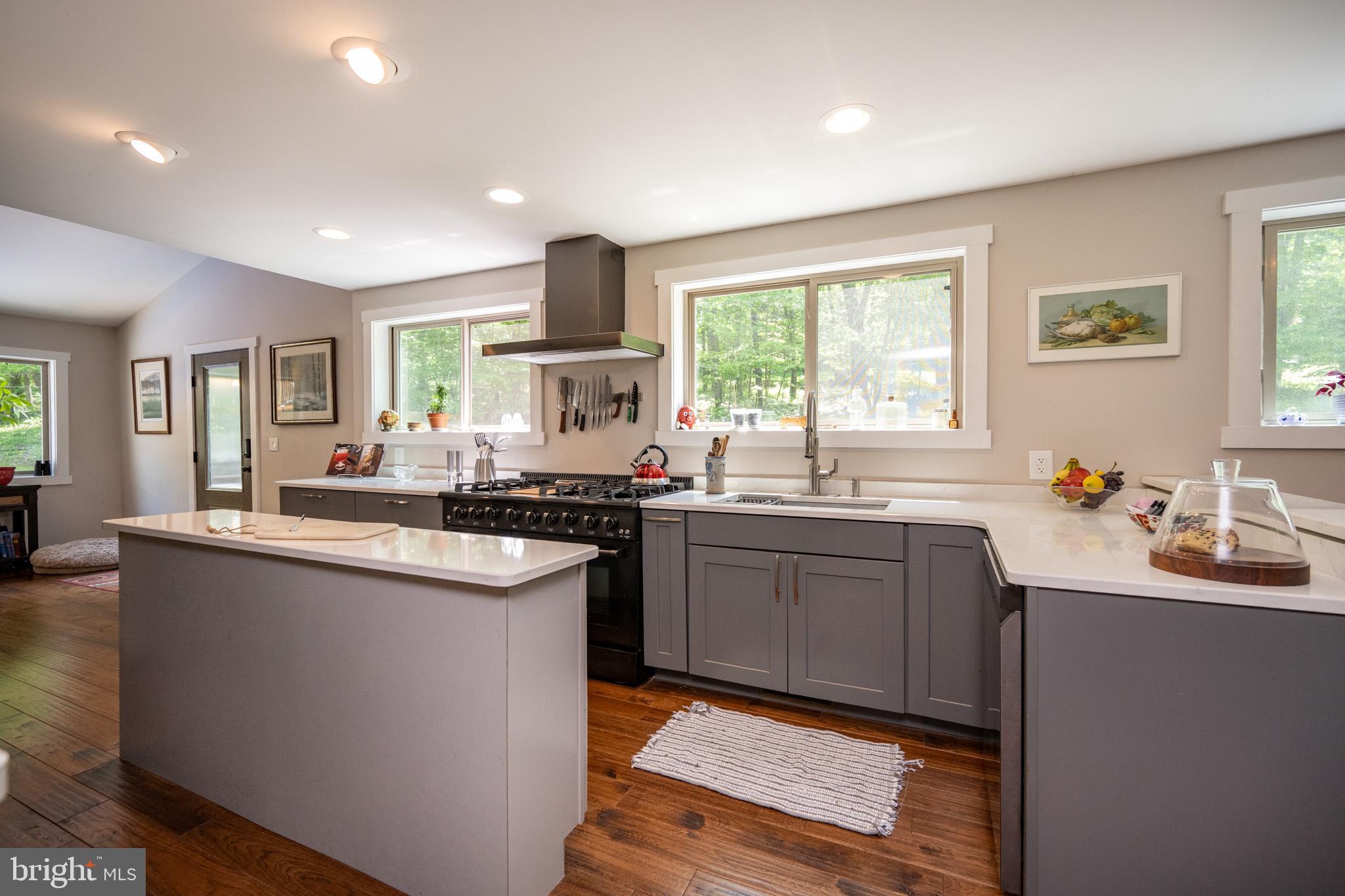 2250 Hoyes Run Road McHenry, MD 21541 - Photo 23 of 93