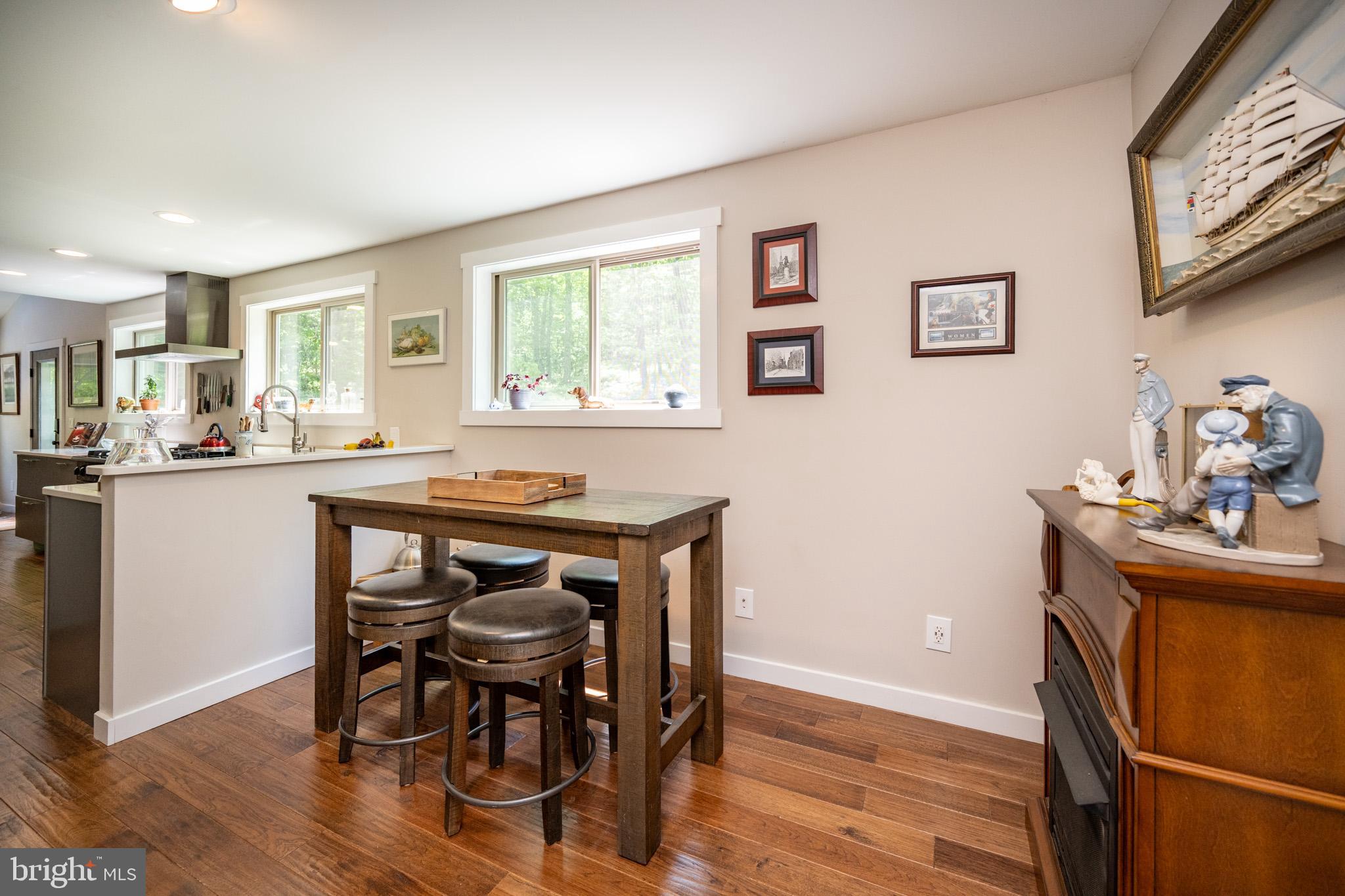 2250 Hoyes Run Road McHenry, MD 21541 - Photo 32 of 93