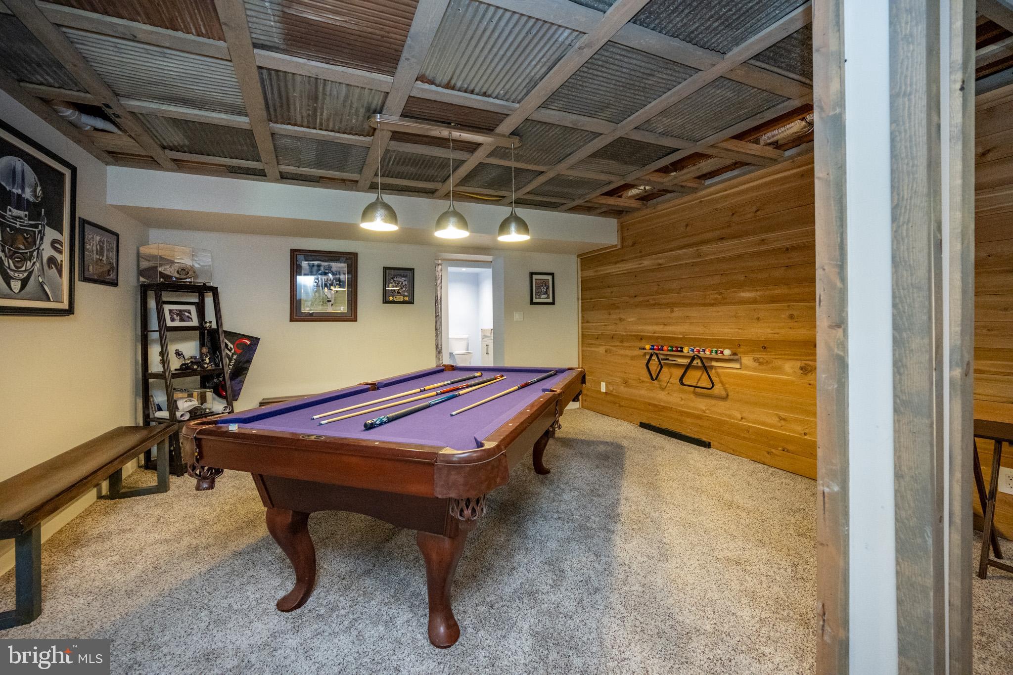 2250 Hoyes Run Road McHenry, MD 21541 - Photo 58 of 93