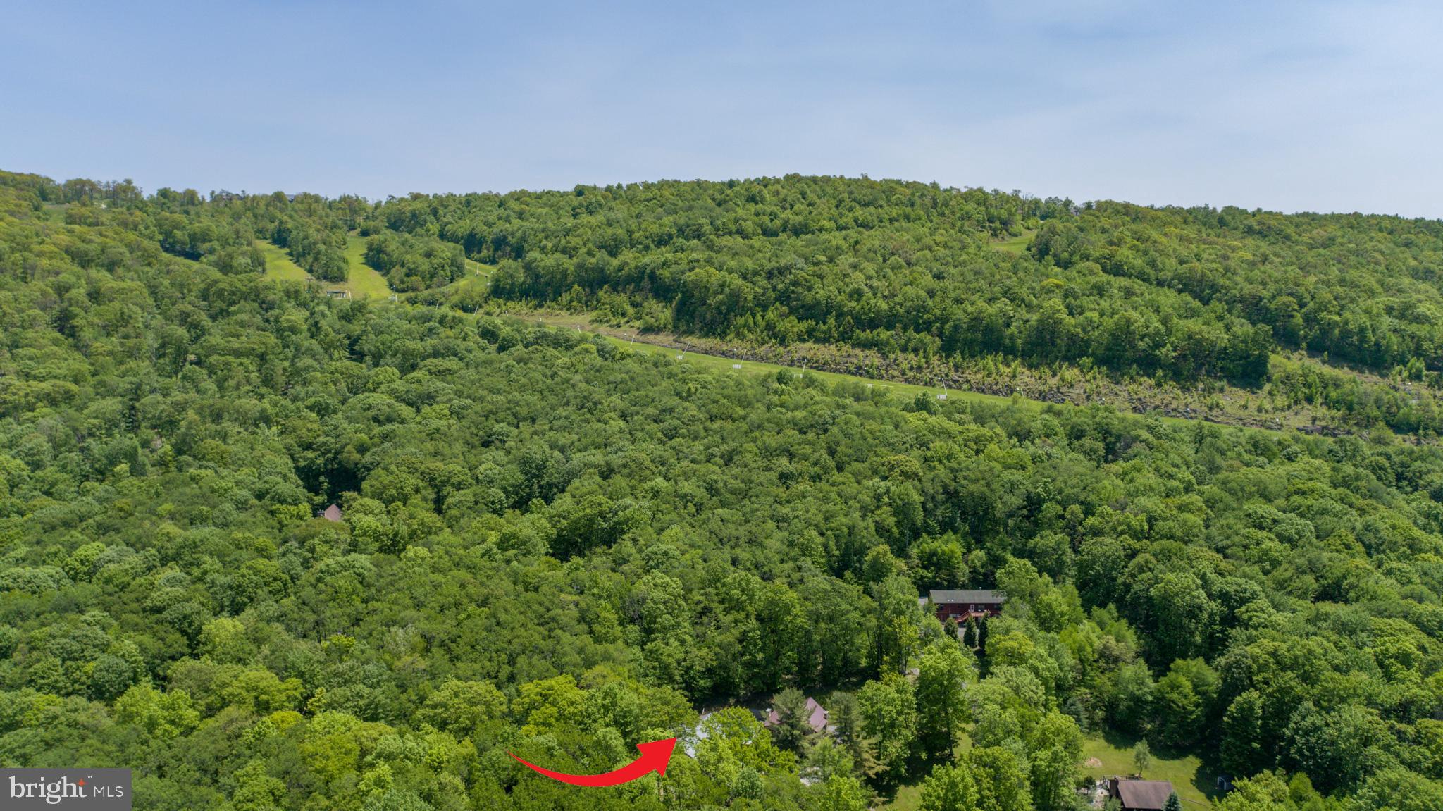 2250 Hoyes Run Road McHenry, MD 21541 - Photo 10 of 93