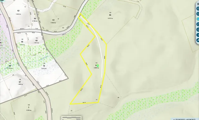 a close up of a tree