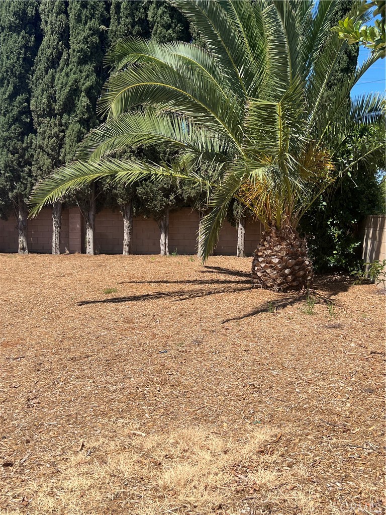 7561 Donna Avenue Reseda, CA 91335 - Photo 26 of 30 a view of a house with a snow