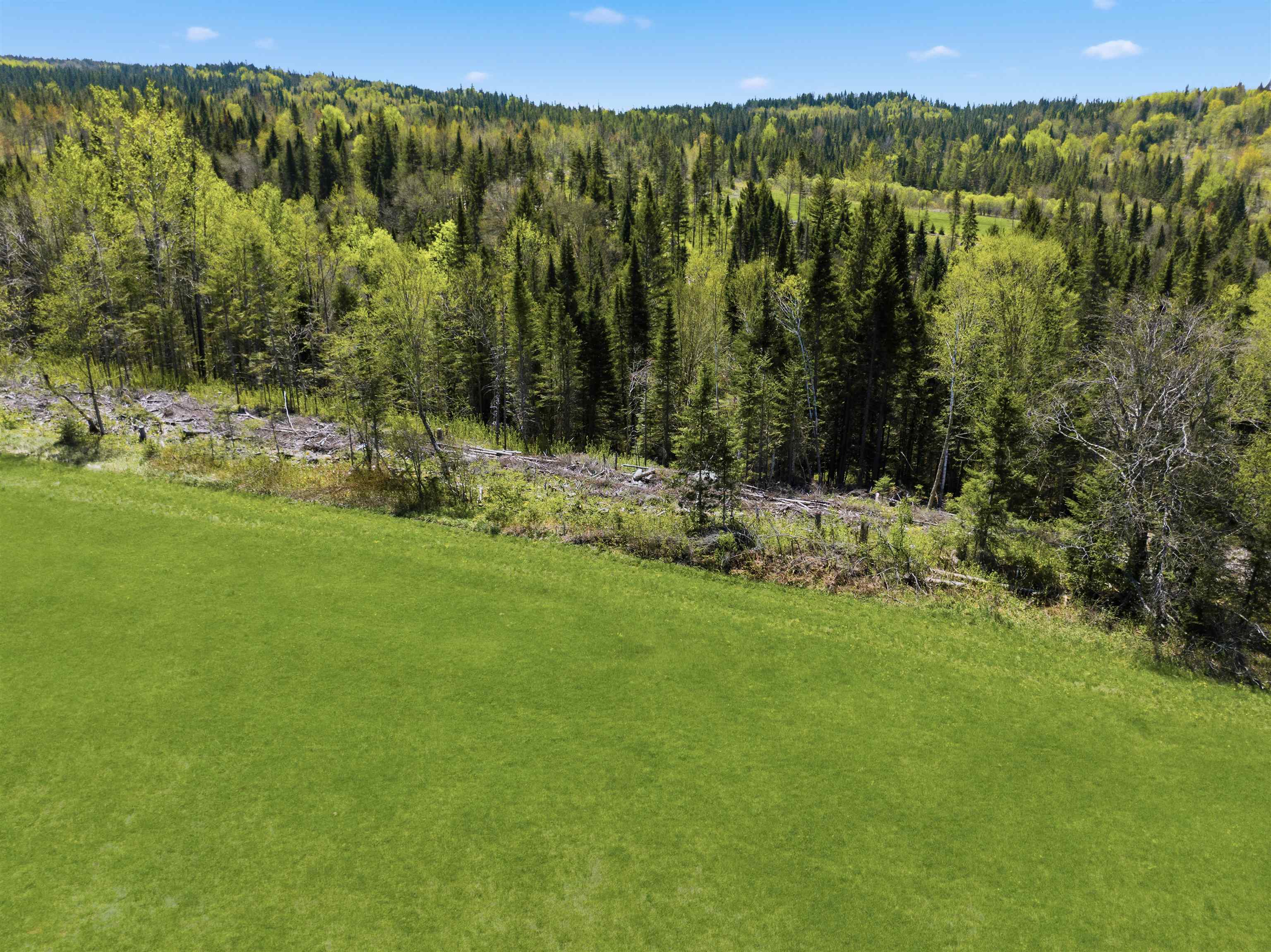 Lot 3 Creampoke Road Stewartstown, NH 03576 - Photo 8 of 18
