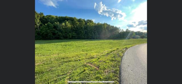 0 Pecks Creek Road Stanton, KY 40380 - Photo 6 of 7 image6