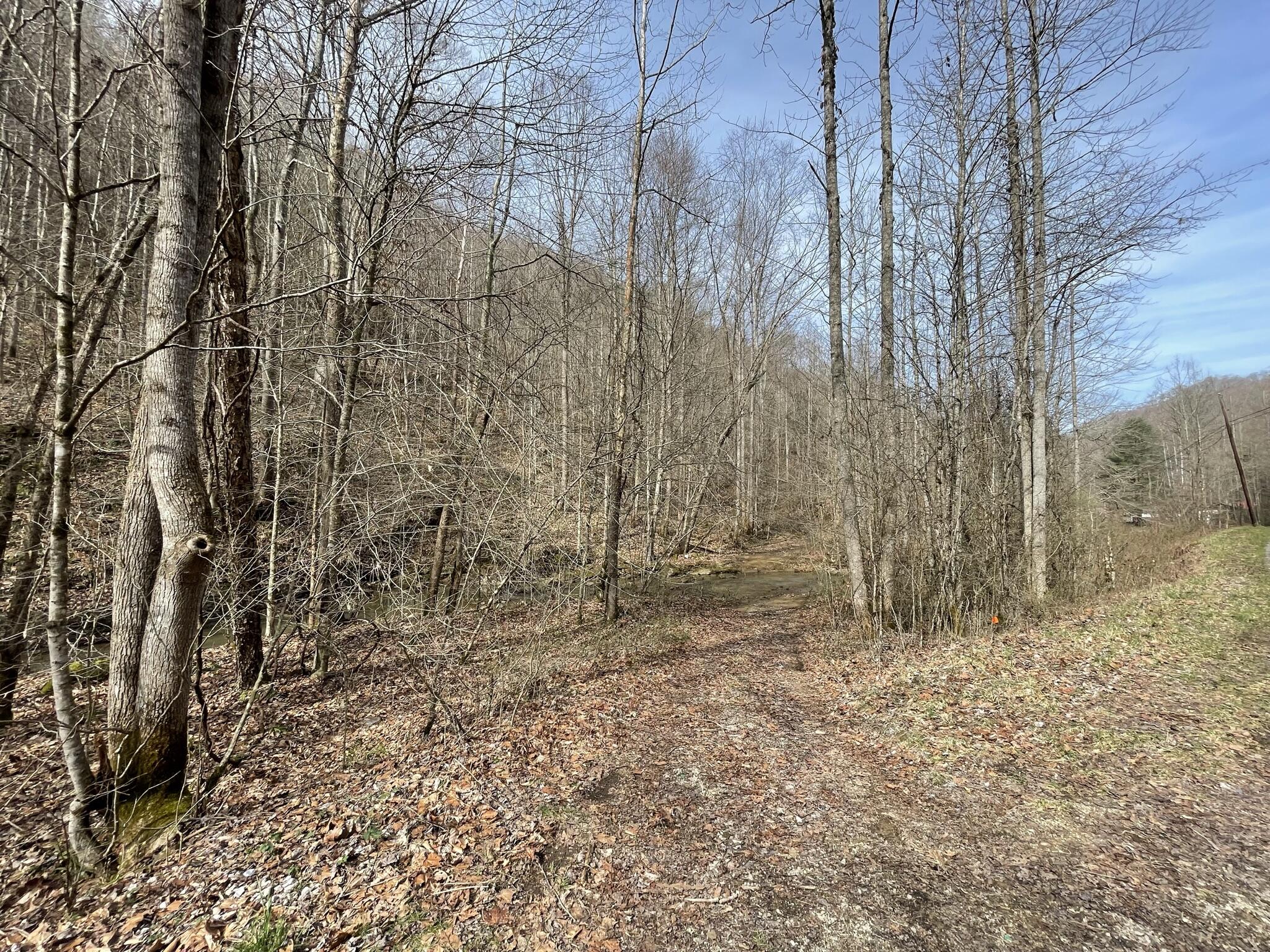 9999 Trace Branch Road Walker, KY 40997 - Photo 7 of 25 IMG_6492