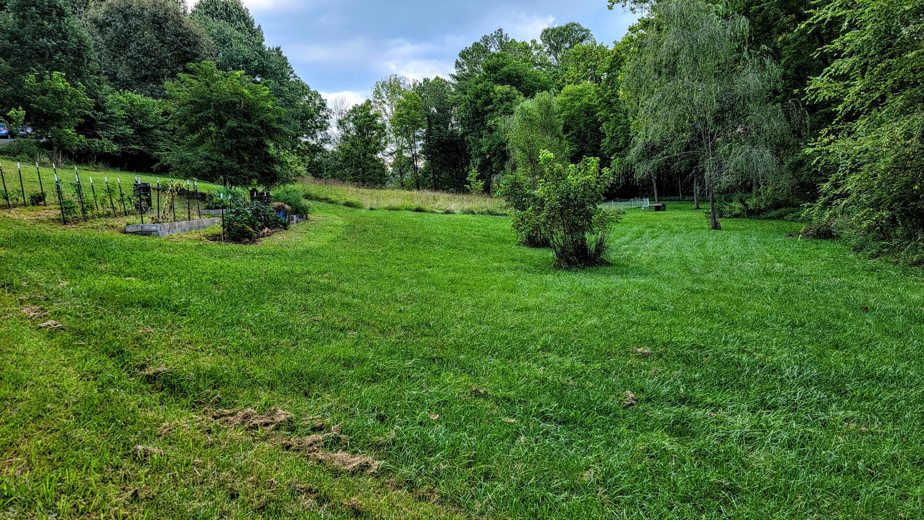 662 Fall Creek Road Blountville, TN 37617 - Photo 40 of 45 20210825_174921