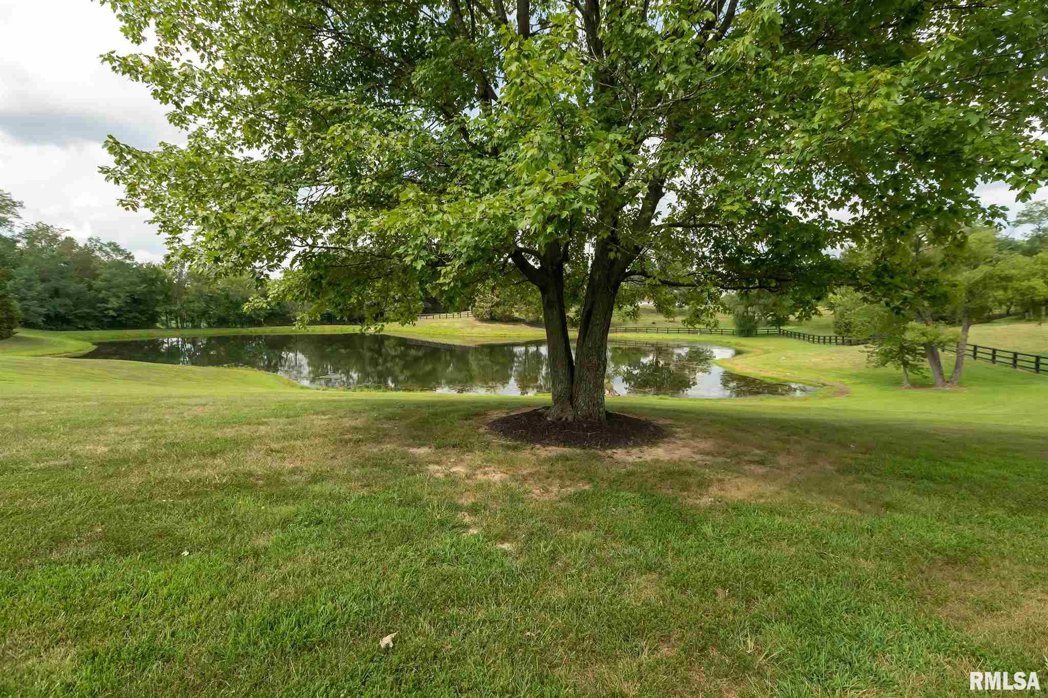 8817 Stonefort Road Creal Springs, IL 62922 - Photo 31 of 48