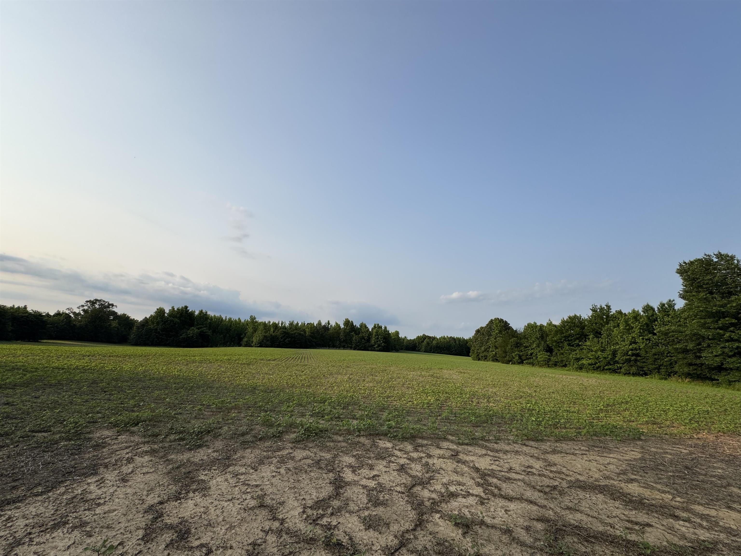 Frazier Road Rossville, TN 38066 - Photo 7 of 12 Gallery Image 7