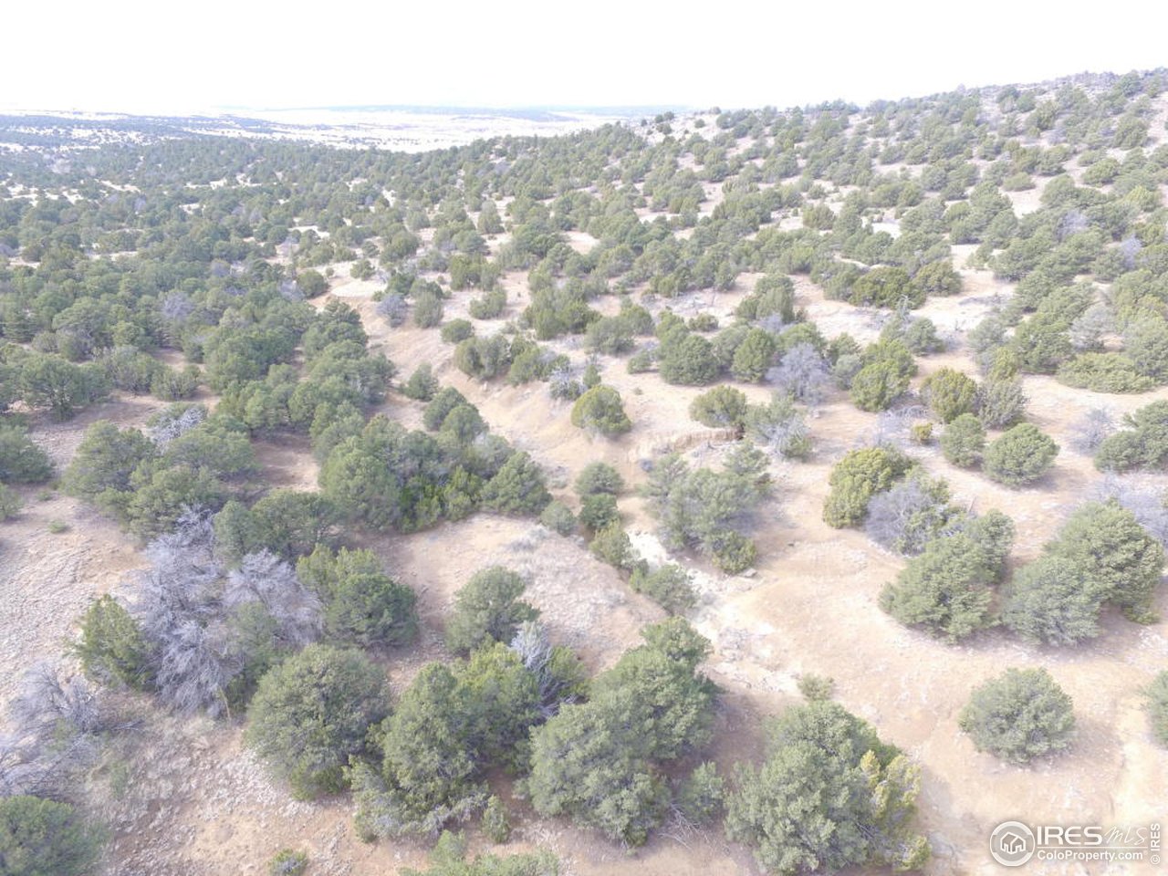 111 River Ridge Trail Walsenburg, CO 81089 - Photo 15 of 15 Gallery Image 15