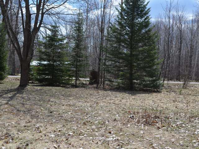 W5512 Thomas Road East Tomahawk, WI 54487 - Photo 7 of 13 Gallery Image 7