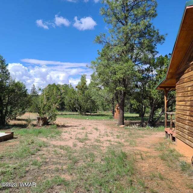 3091 Highway 277 Overgaard, AZ 85933 - Photo 4 of 34