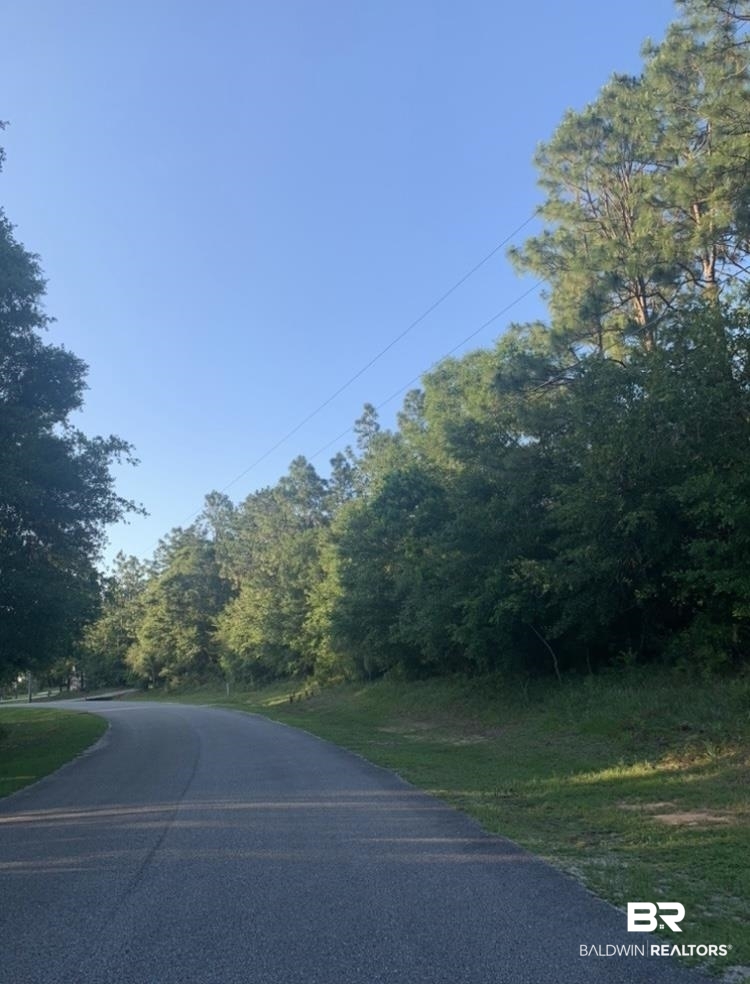 Lot 38 Erin Pond Road Seminole, AL 36574 - Photo 14 of 15