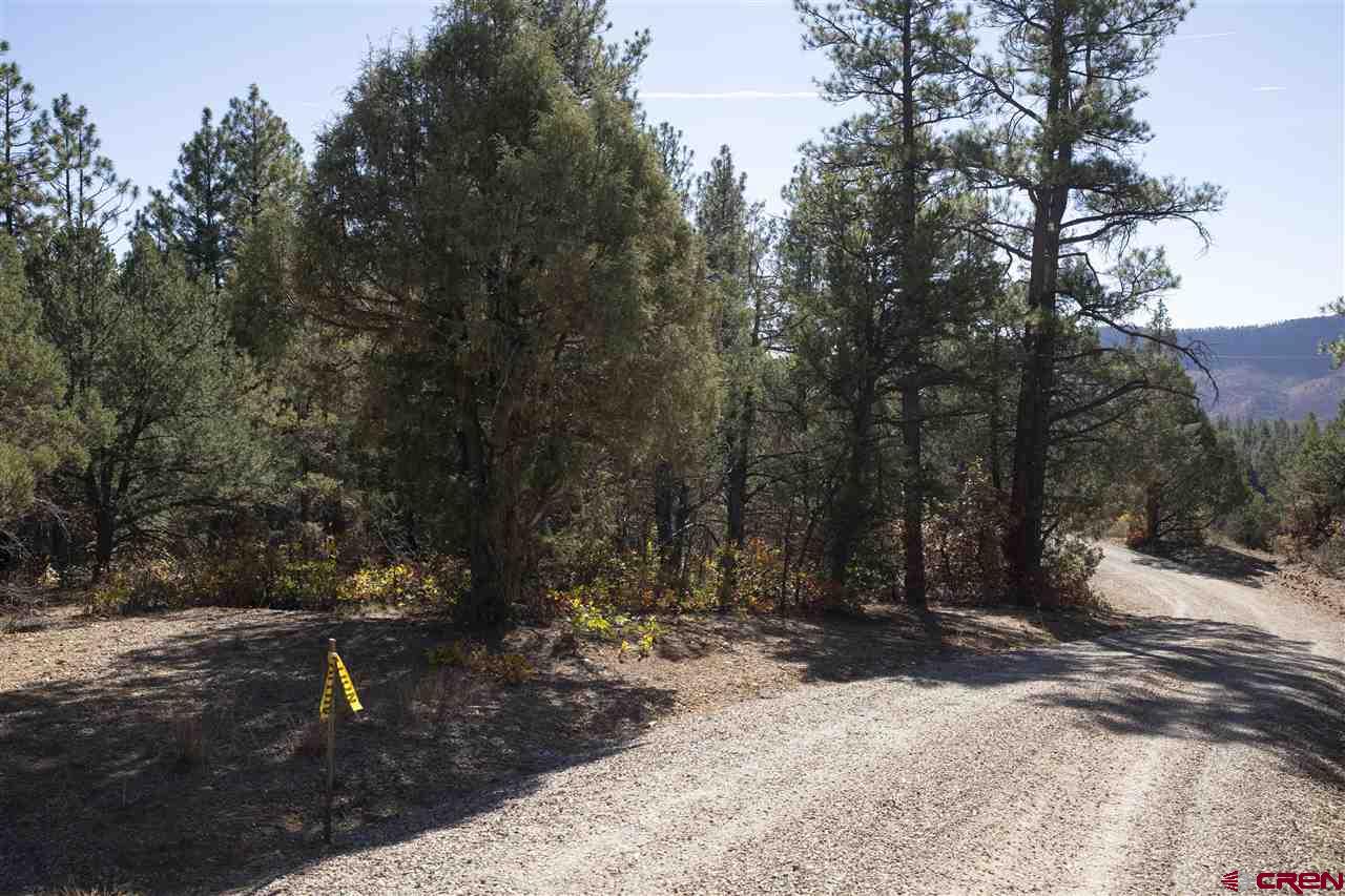 Tbd Spring Road Durango, CO 81303 - Photo 2 of 21
