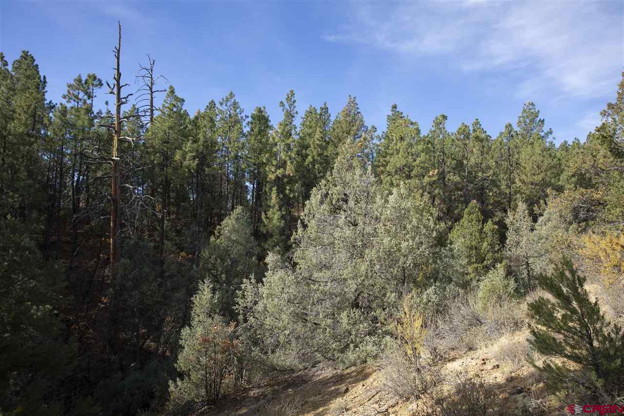 Tbd Spring Road Durango, CO 81303 - Photo 11 of 21