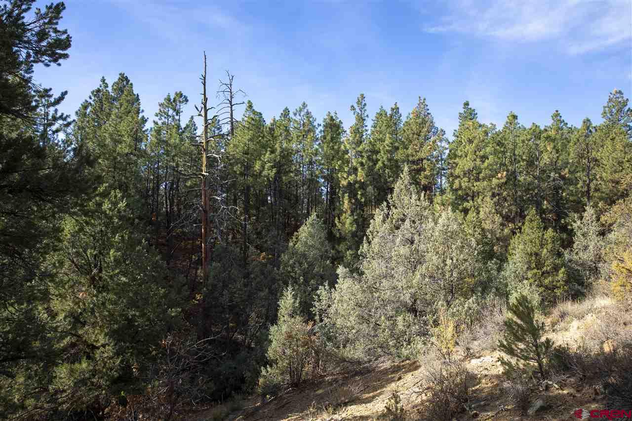 Tbd Spring Road Durango, CO 81303 - Photo 12 of 21