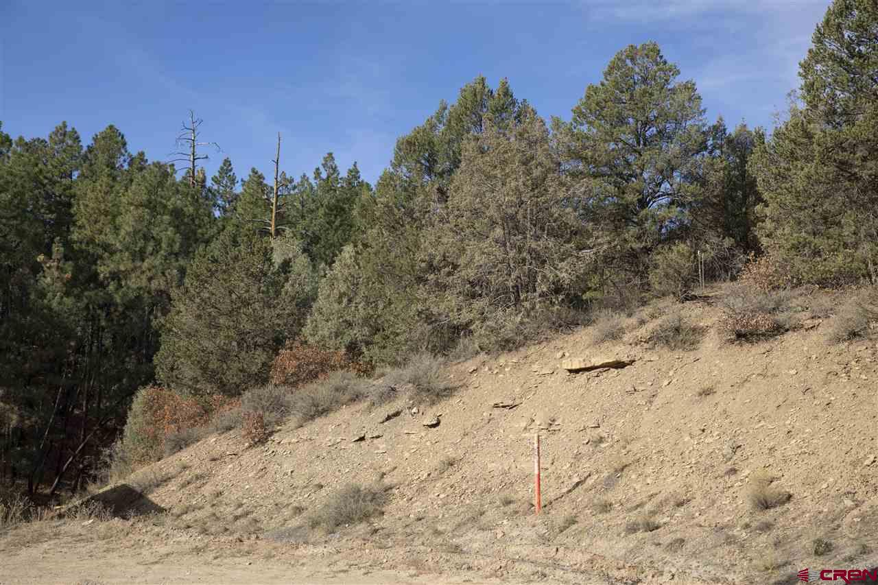 Tbd Spring Road Durango, CO 81303 - Photo 14 of 21