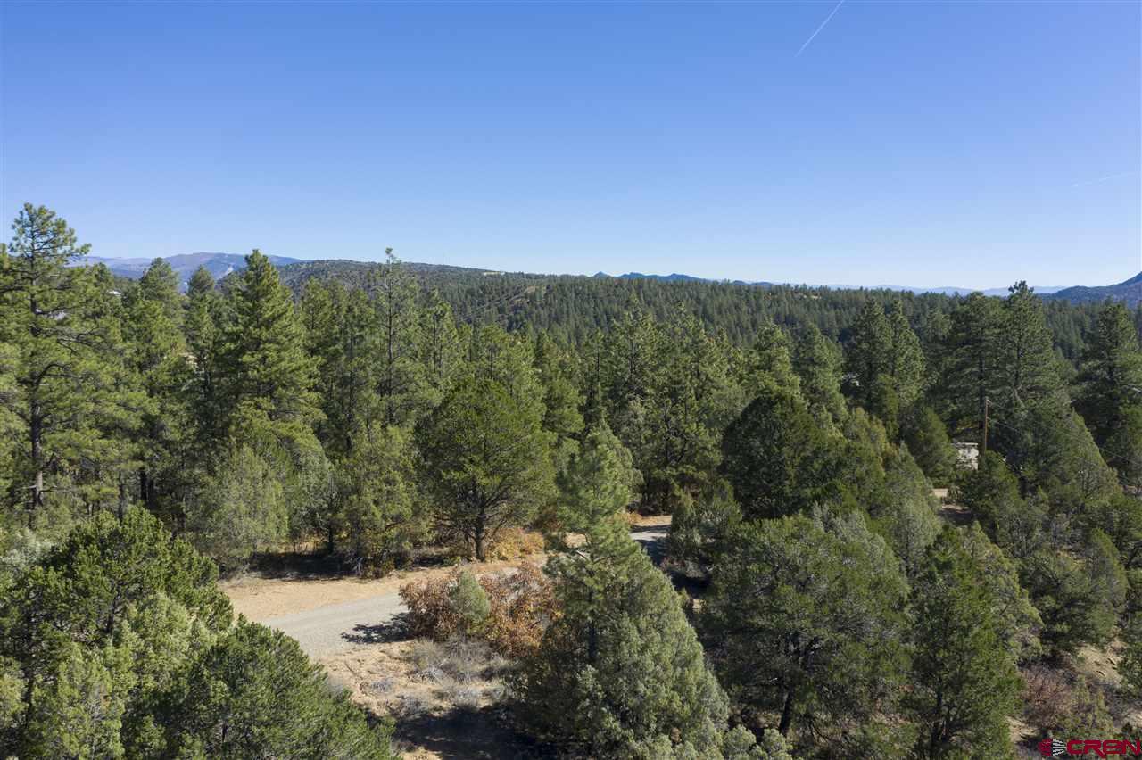 Tbd Spring Road Durango, CO 81303 - Photo 17 of 21