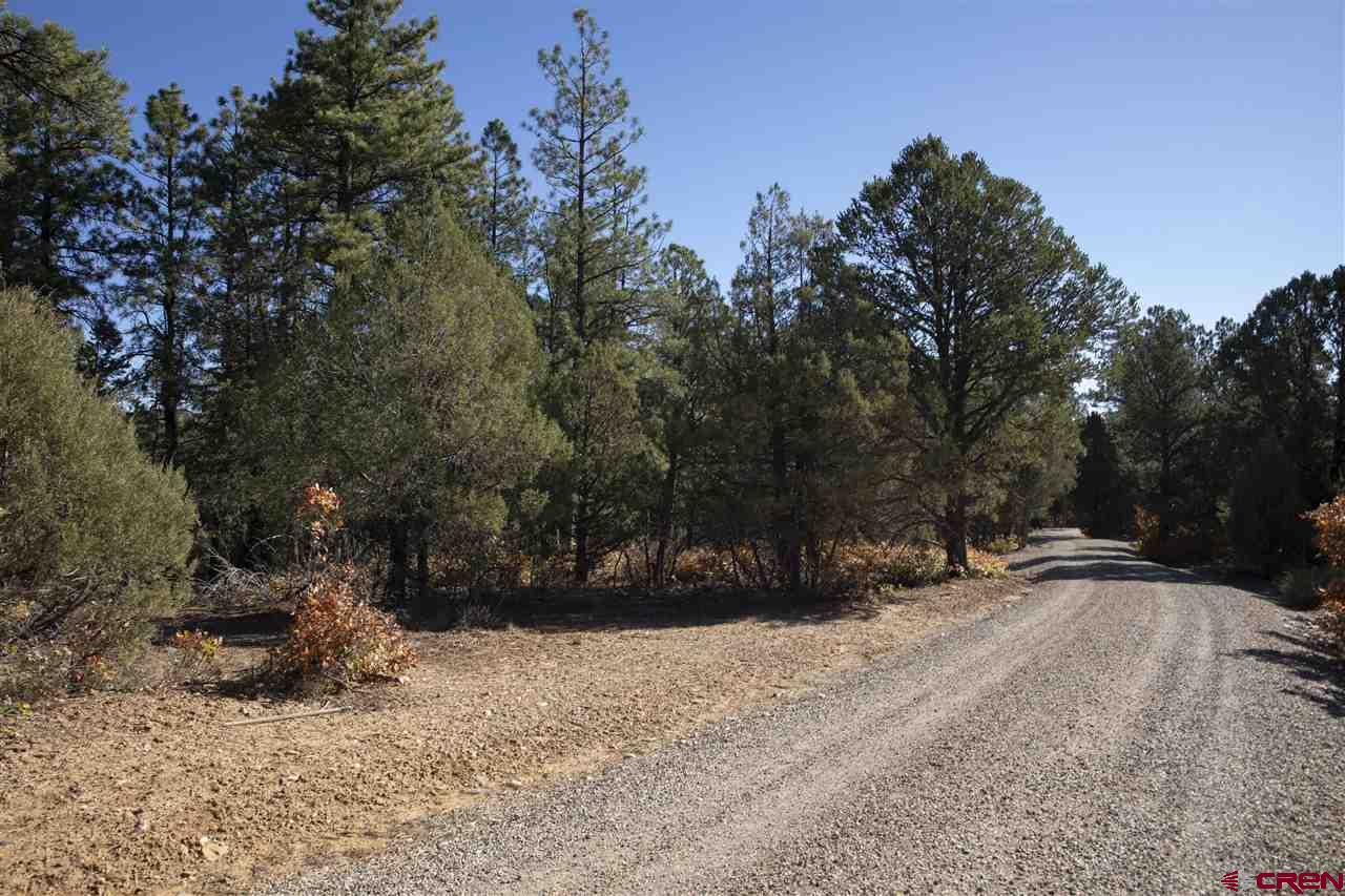 Tbd Spring Road Durango, CO 81303 - Photo 3 of 21
