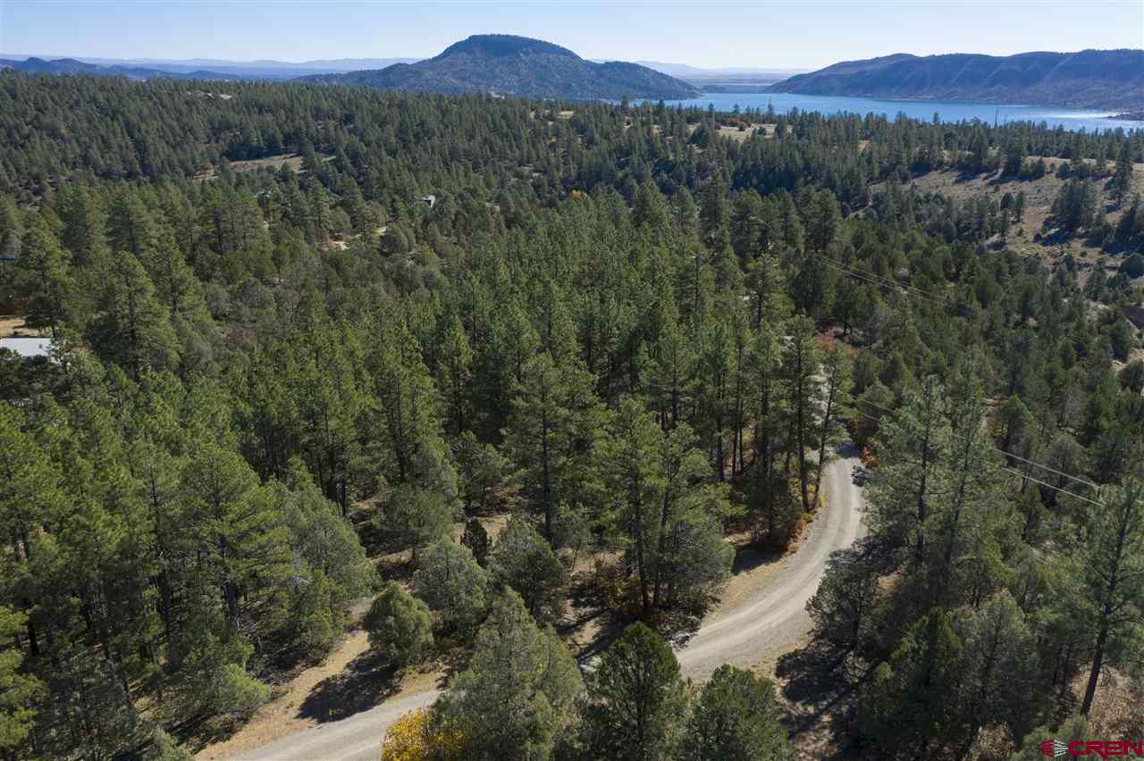 Tbd Spring Road Durango, CO 81303 - Photo 21 of 21