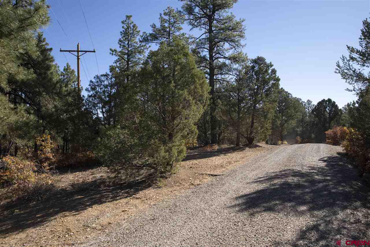 Tbd Spring Road Durango, CO 81303 - Photo 4 of 21