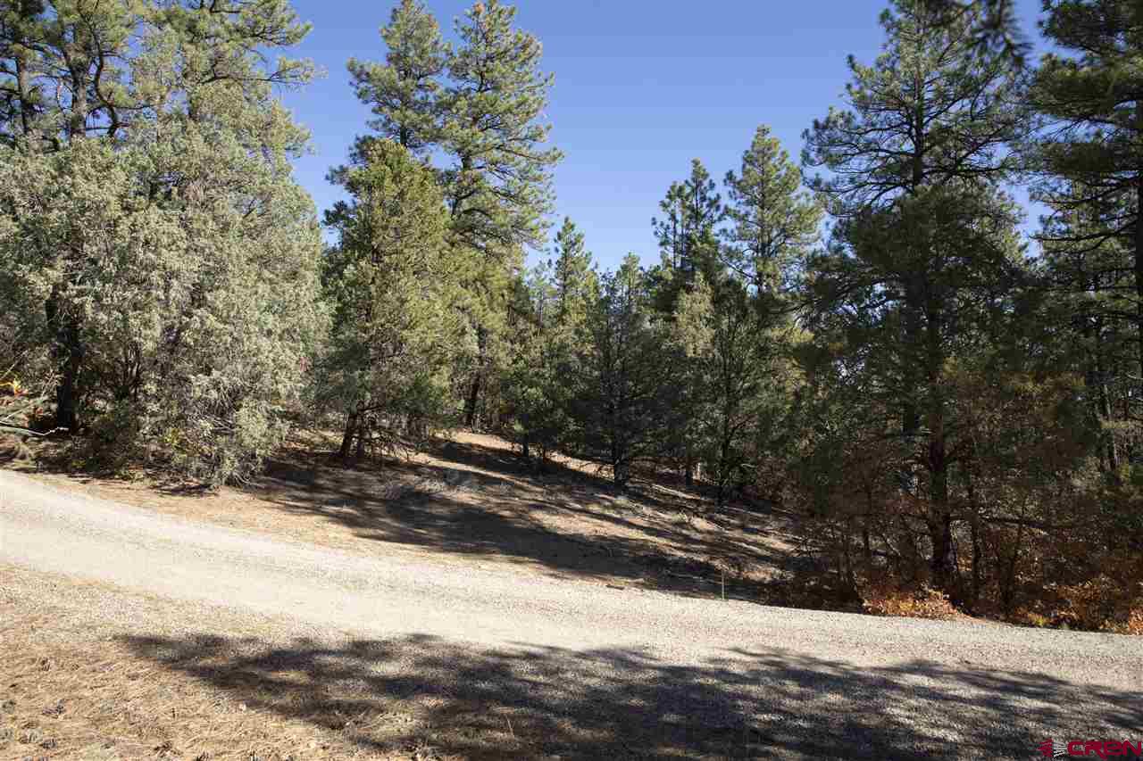 Tbd Spring Road Durango, CO 81303 - Photo 5 of 21