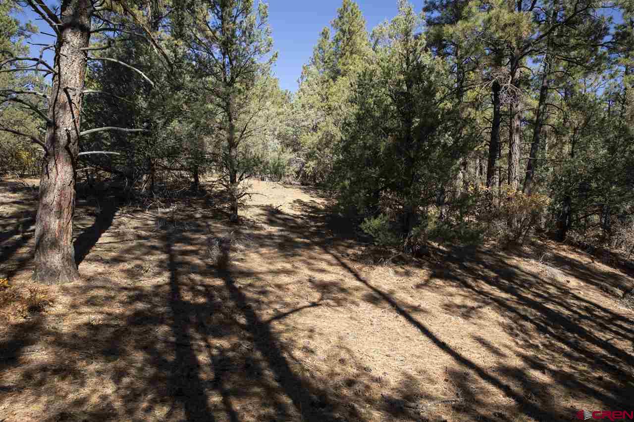 Tbd Spring Road Durango, CO 81303 - Photo 6 of 21