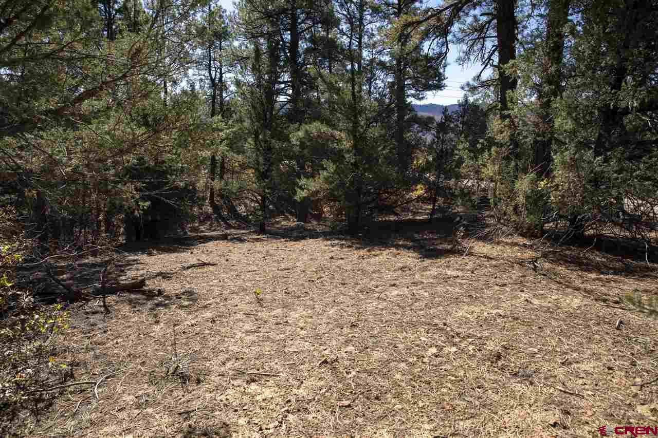Tbd Spring Road Durango, CO 81303 - Photo 7 of 21