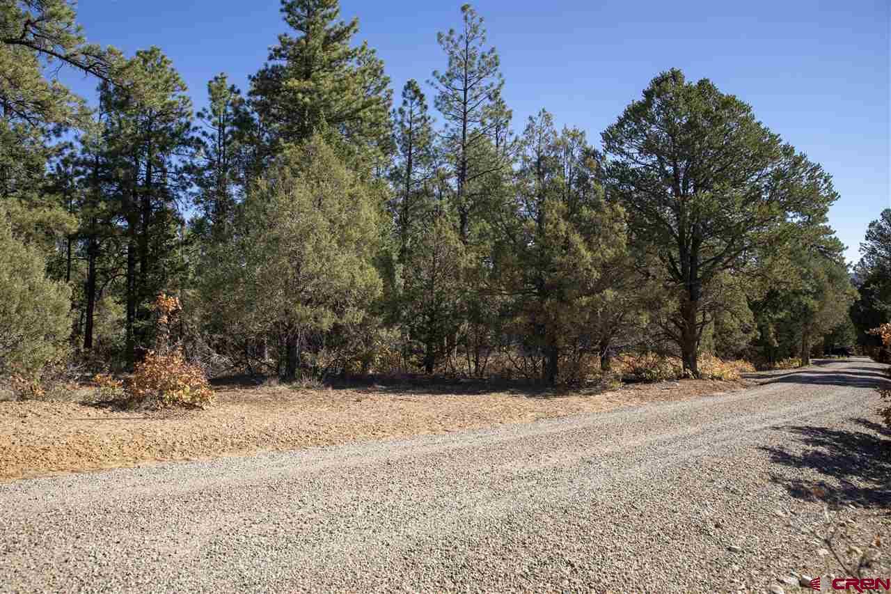Tbd Spring Road Durango, CO 81303 - Photo 8 of 21