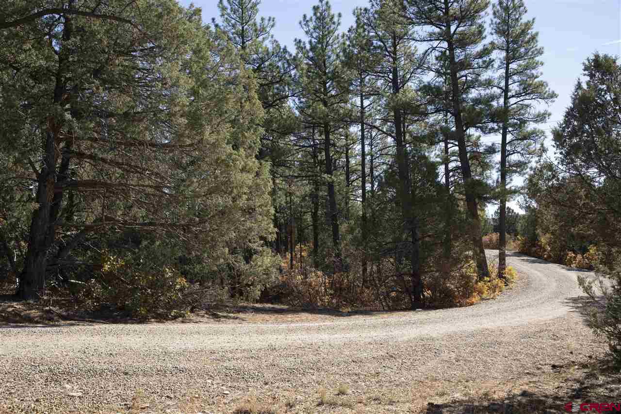 Tbd Spring Road Durango, CO 81303 - Photo 9 of 21