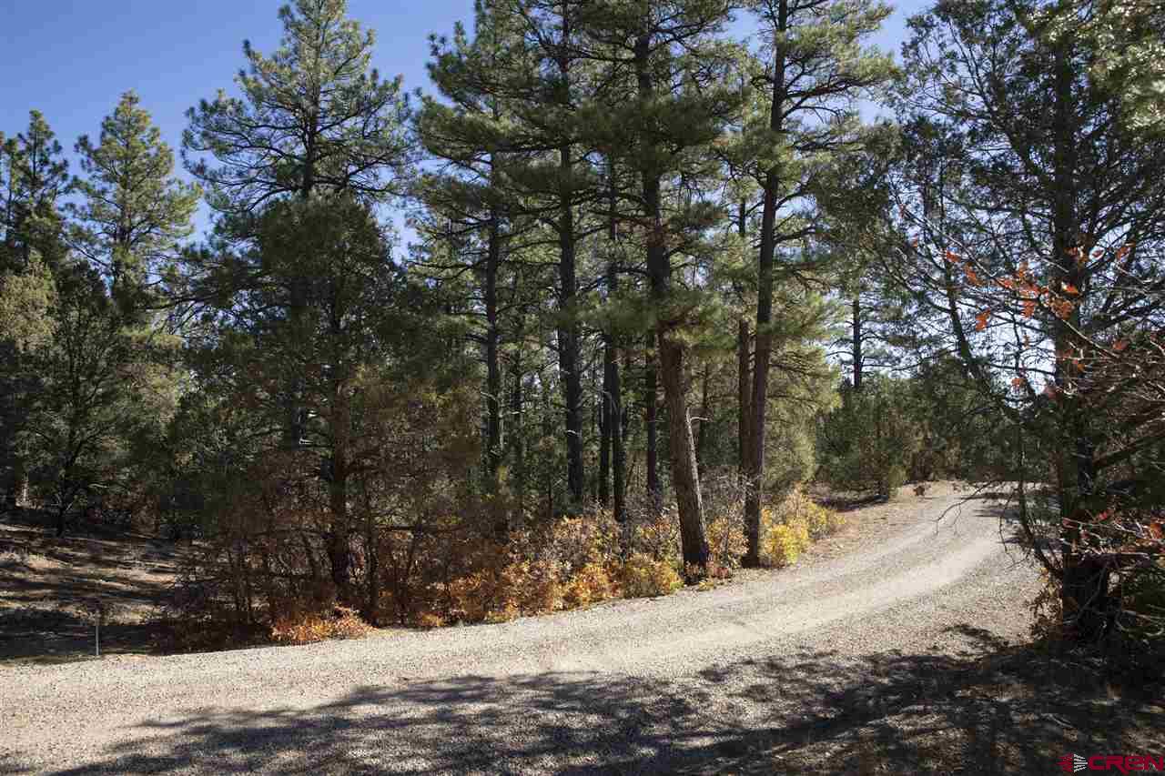 Tbd Spring Road Durango, CO 81303 - Photo 10 of 21
