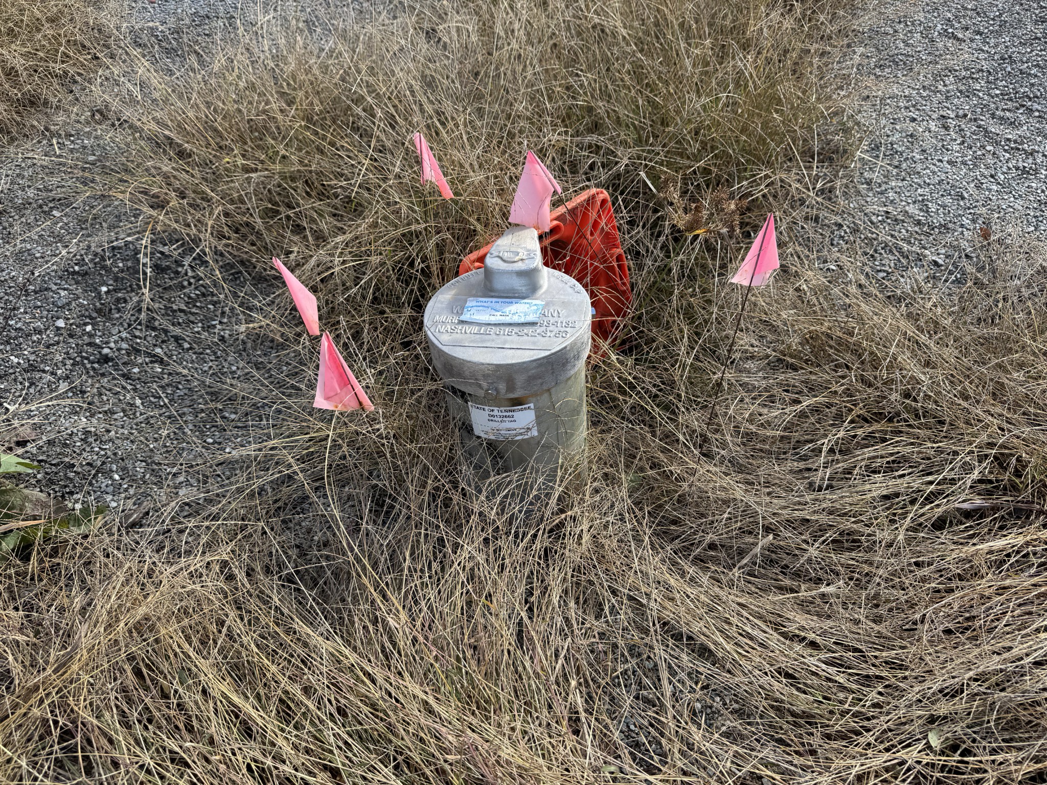 1 Rocky Glade Road Eagleville, TN 37060 - Photo 13 of 14 a bathroom with a toilet and a sink