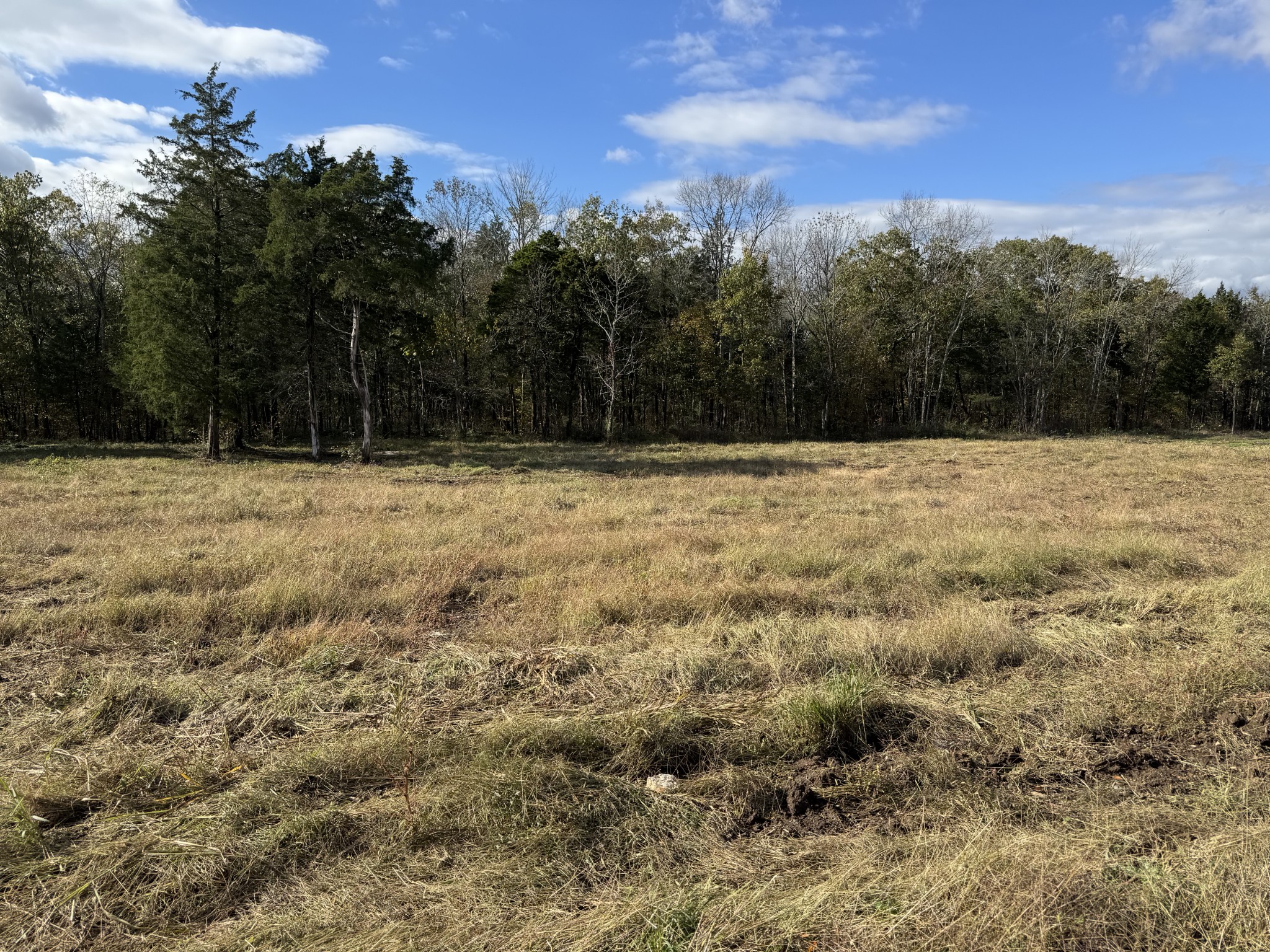 1 Rocky Glade Road Eagleville, TN 37060 - Photo 2 of 14 a view of outdoor space with trees all around
