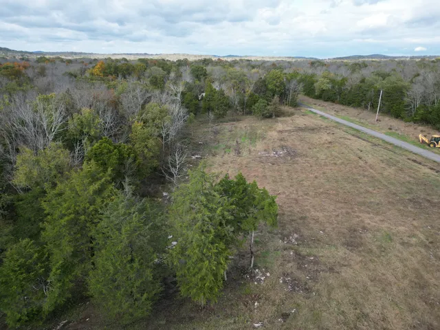 a view of a forest with trees in the background