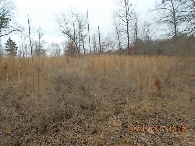 126 State Rd S-4-201 Anderson, SC 29621 - Photo 1 of 1