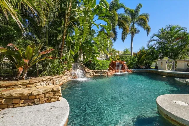 a view of a park with plants